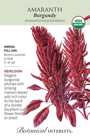 Burgundy Amaranth Seeds