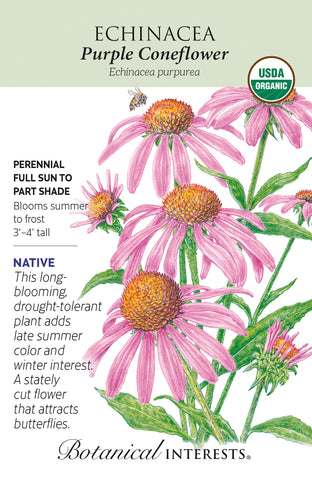 Purple Coneflower Echinacea Seeds