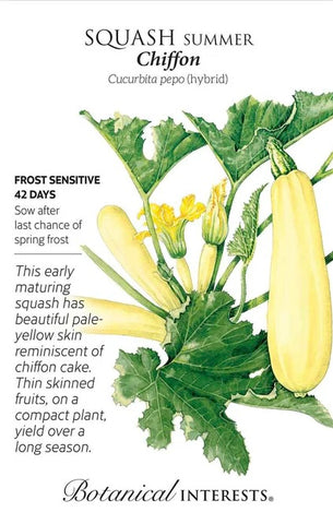 Chiffon Summer Squash