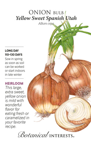 Yellow Sweet Spanish Utah Bulb Onion Seeds