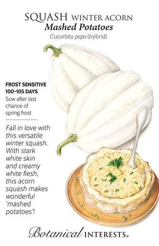 Mashed Potatoes Winter Squash Seeds