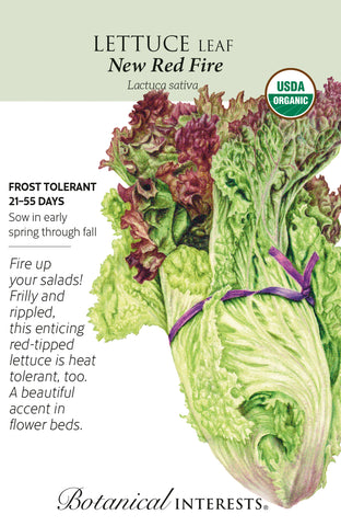 New Red Fire Leaf Lettuce Seeds