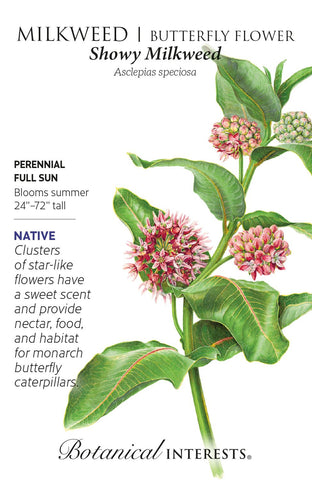 Showy Milkweed Butterfly Flower Seeds