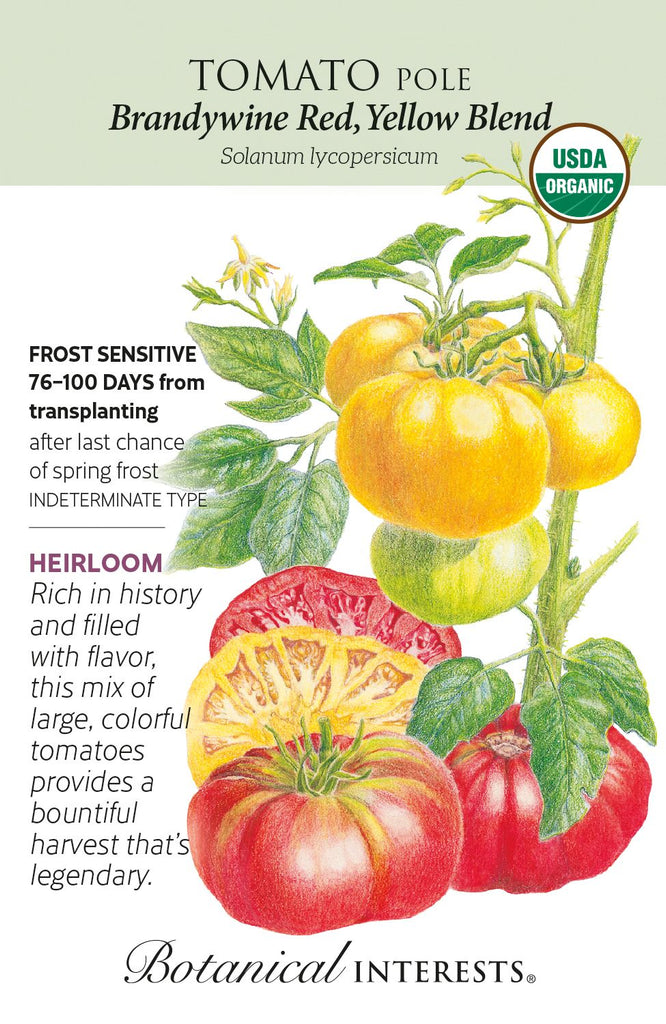 Yellow Brandywine Tomato (80 Days) – Pinetree Garden Seeds