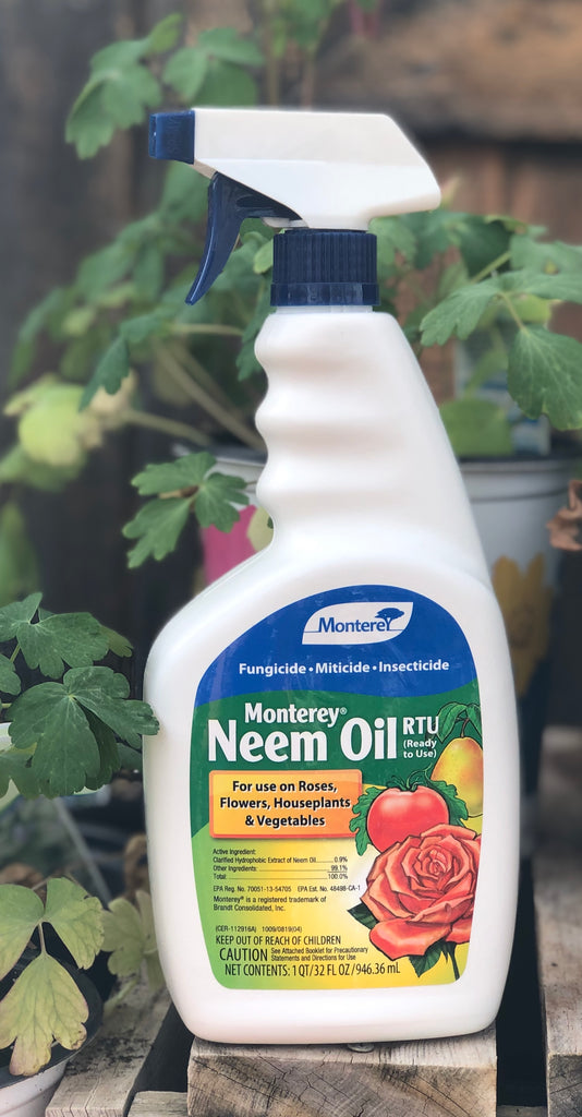 Neem Oil Insecticides for sale in Hermosillo, Sonora
